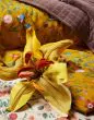 ESSENZA Marigold Flower ochre Duvet cover 140 x 220 cm